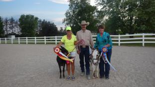 Wisconsin State Donkey & Mule Society Annual Show-June 28 & 29, 2014