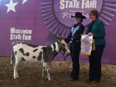 2016 Wisconsin State Fair