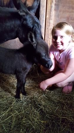 MJB Rachel Alexandra